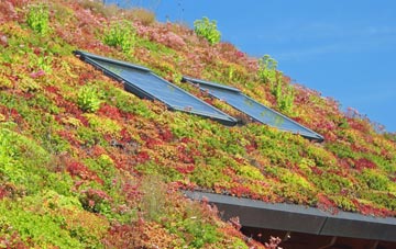 Chargrove living roof systems