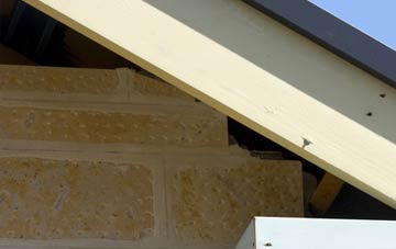 soffit repair Chargrove